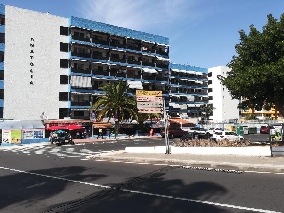Acogedor Estudio Con Piscina Y Cerca De La Playa Puerto de la Cruz  Exterior photo