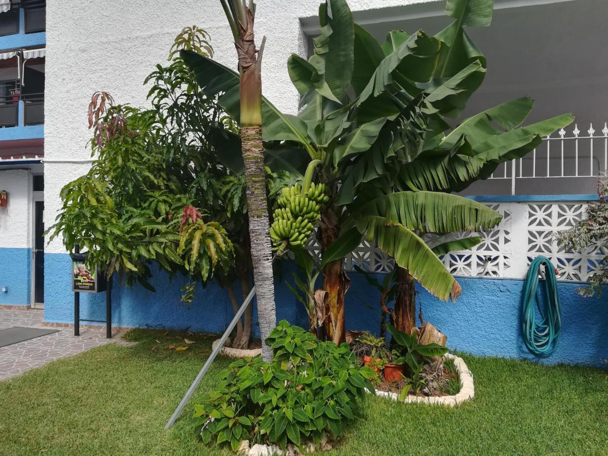 Acogedor Estudio Con Piscina Y Cerca De La Playa Puerto de la Cruz  Exterior photo
